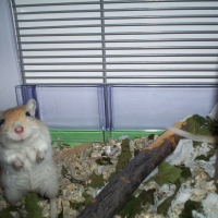 Photo de profil de Filou