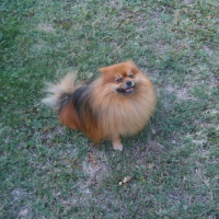 Photo de profil de Tayson