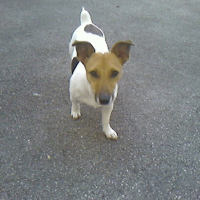 Photo de profil de Milo