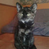 Photo de Ruyk