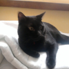 Photo de Boogy