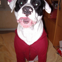 Photo de profil de Bayron