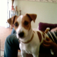 Photo de profil de Cambell