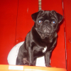 Photo de Diego