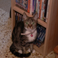 Photo de profil de Nala