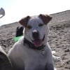 Photo de Bingo