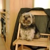 Photo de Ugo