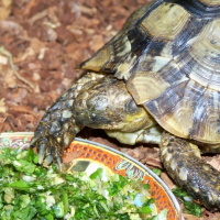 Photo de profil de Léo