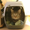Photo de Neo