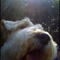Photo de profil de Ulysse