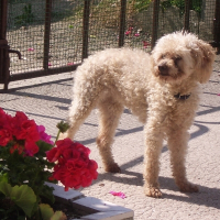 Photo de profil de Fanny