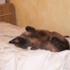 Photo de Zita