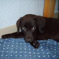 Photo de profil de Doly