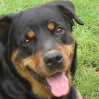 Photo de profil de Tamia