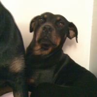 Photo de profil de Chanel