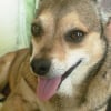 Photo de Tiny