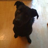 Photo de profil de Carbone