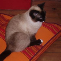 Photo de profil de Praline