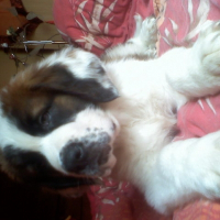 Photo de profil de Benji