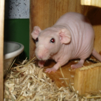 Photo de profil de Vénus