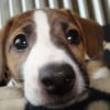 Photo de Kensie