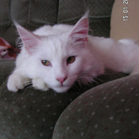 Photo de profil de élios