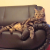 Photo de Eros