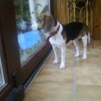 Photo de profil de Kaia