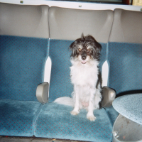 Photo de profil de Benjie