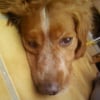 Photo de Moby
