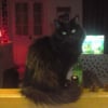 Photo de Mamaeil