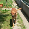 Photo de Teddy