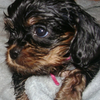 Photo de profil de Easy