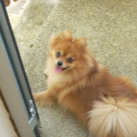 Photo de profil de Nala