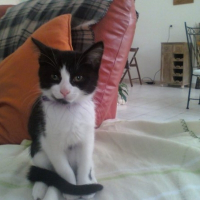 Photo de profil de Clochette