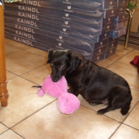 Photo de profil de Nina