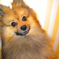 Photo de profil de Kingston