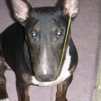 Photo de profil de Lola