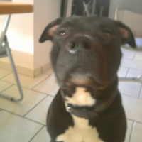 Photo de profil de Athos