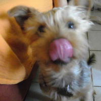 Photo de profil de Ted's