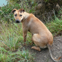 Photo de profil de Gwada