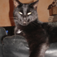 Photo de profil de Tiki