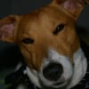 Photo de Alpha