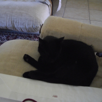 Photo de profil de Max