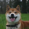 Photo de Kazuo