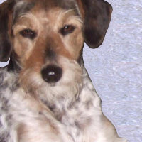 Photo de profil de Constance