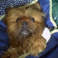 Photo de profil de Lady