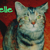 Photo de profil de Belle