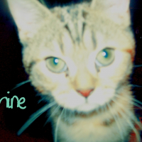 Photo de profil de Mimine
