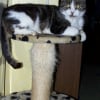 Photo de Pylou
